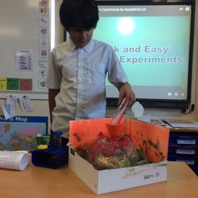 Y3 science week 1